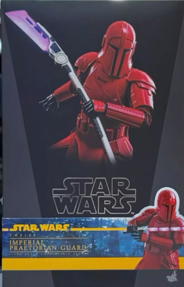 Imperial Praetorian Guard 1/6 Scale Hot Toys