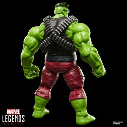 Incredible Hulk - Marvel Legends - Professor Hulk Action Figure