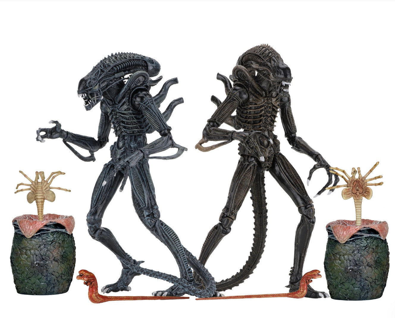 ALIENS – 7IN SCALE ACTION FIGURES - ULTIMATE WARRIOR ASSORTMENT