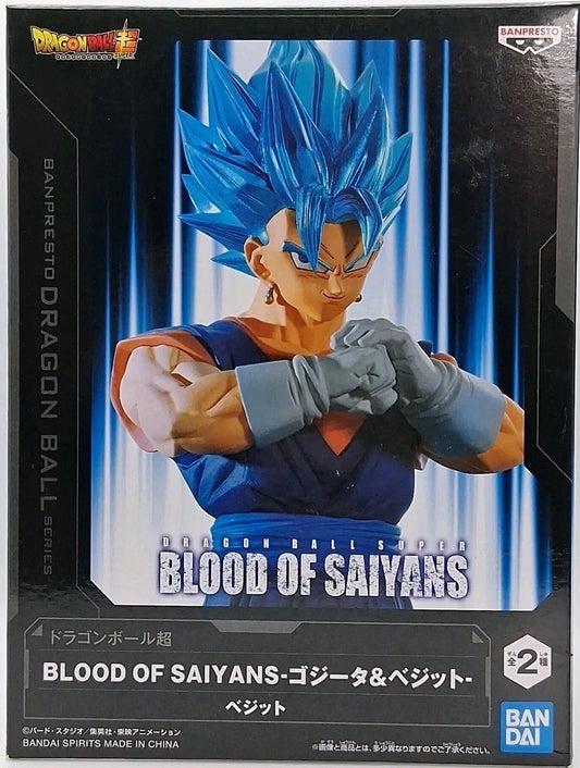 Dragon Ball Z – Super Blood of Saiyans Vegito